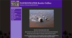 Desktop Screenshot of pawsonwater.com