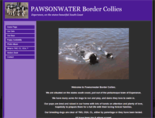Tablet Screenshot of pawsonwater.com